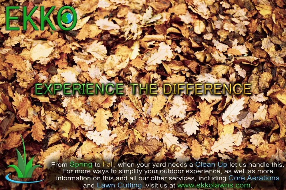 Professional lawn mowing service in Channahon, IL by Ekko