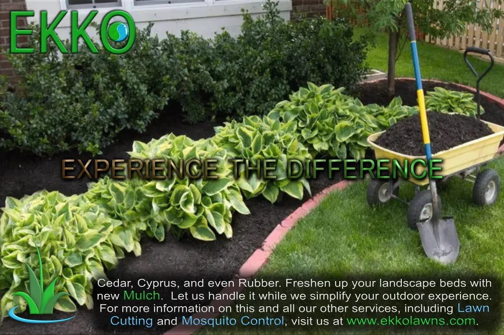 Affordable garden landscaping for year-round maintenance in Channahon, IL by Ekko