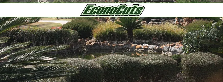 Affordable yard cleanup service in Channelview, TX - EKM Landscape Management