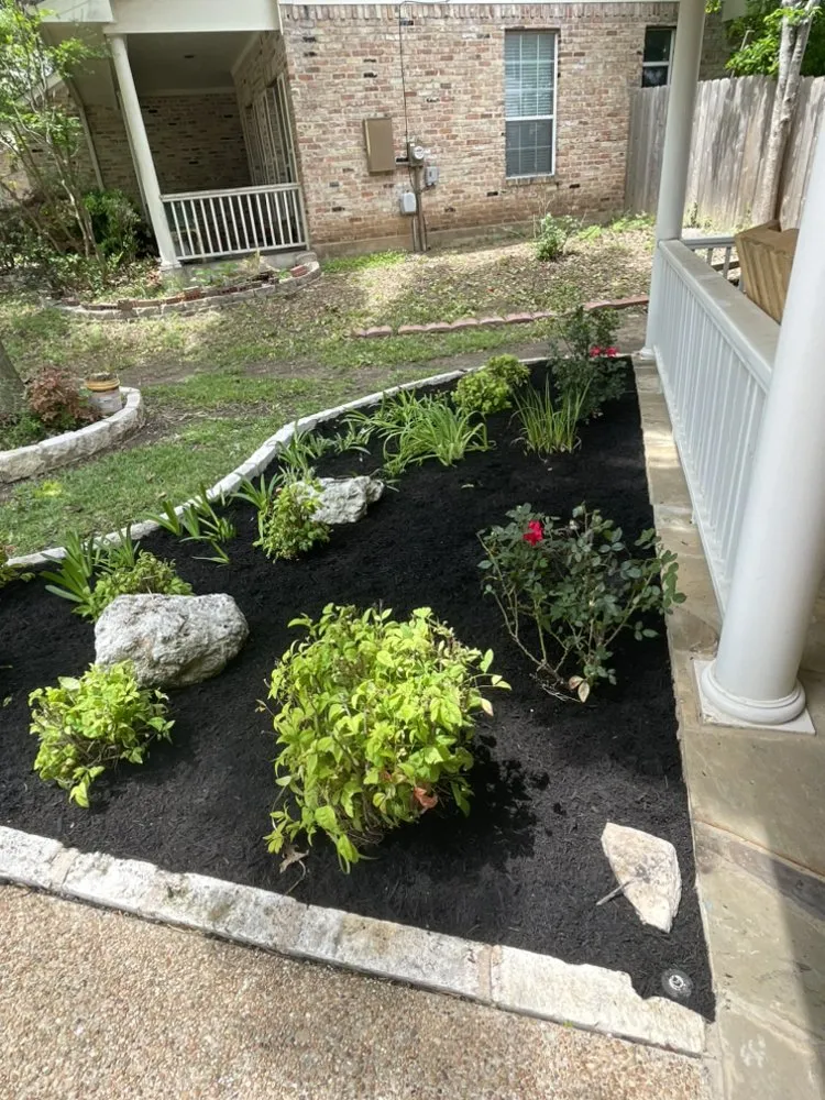 Affordable lawn care service in Austin, TX by El Amigo Landscaping