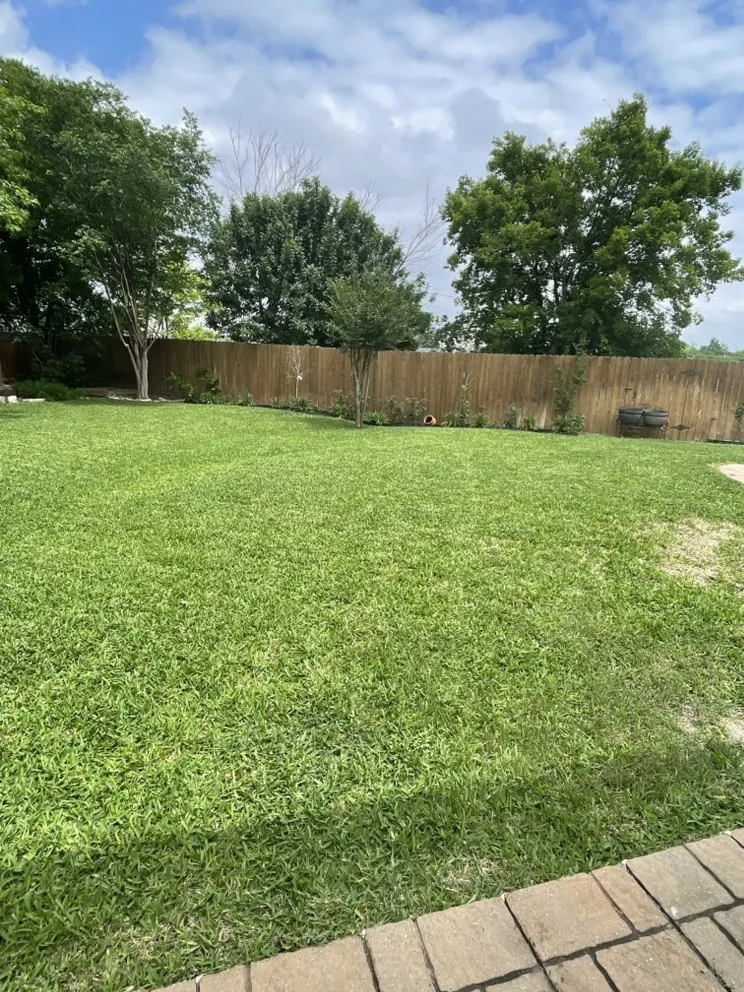 Custom landscape design for homes in Austin, TX by El Amigo Landscaping