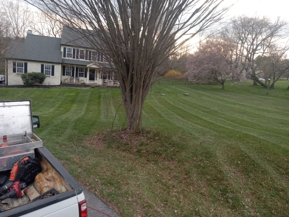 Local yard cleanup service with custom design across Cochranville, PA - El Bosque Landscaping Services