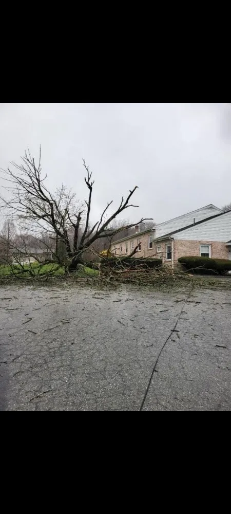 Local yard cleanup service experts serving Cochranville, PA - El Bosque Landscaping Services