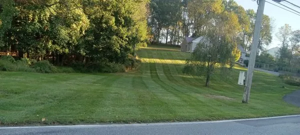 El Bosque Landscaping Services