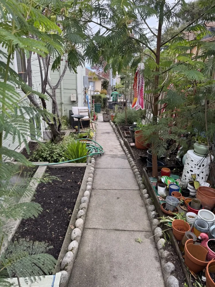 Custom yard maintenance in Salinas, CA by El Caminito Gardening