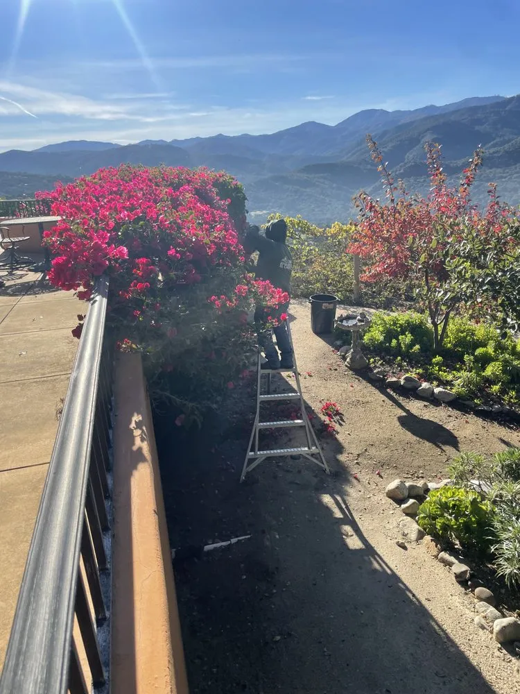 Reliable landscape installation in Salinas, CA - El Caminito Gardening