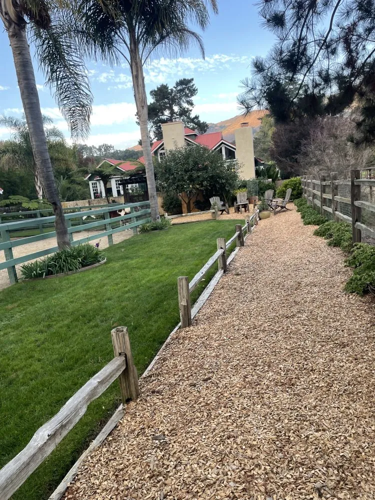 Trusted yard maintenance in Salinas, CA by El Caminito Gardening