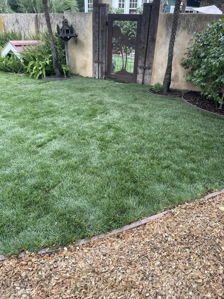 Professional landscape design for beautiful yards in Salinas, CA by El Caminito Gardening