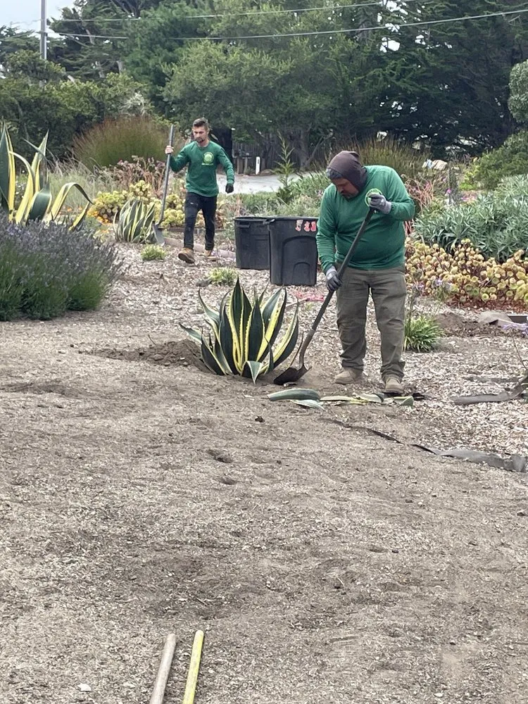 Local landscape installation experts serving Salinas, CA - El Caminito Gardening