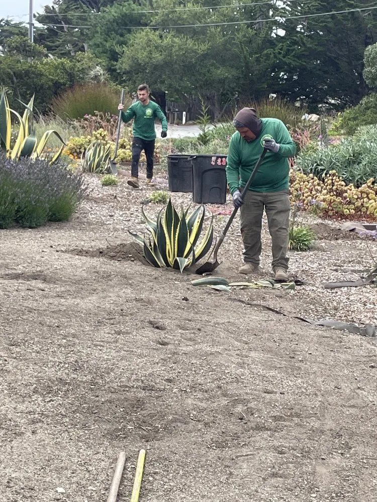 Expert landscaping services with custom design across Salinas, CA - El Caminito Gardening