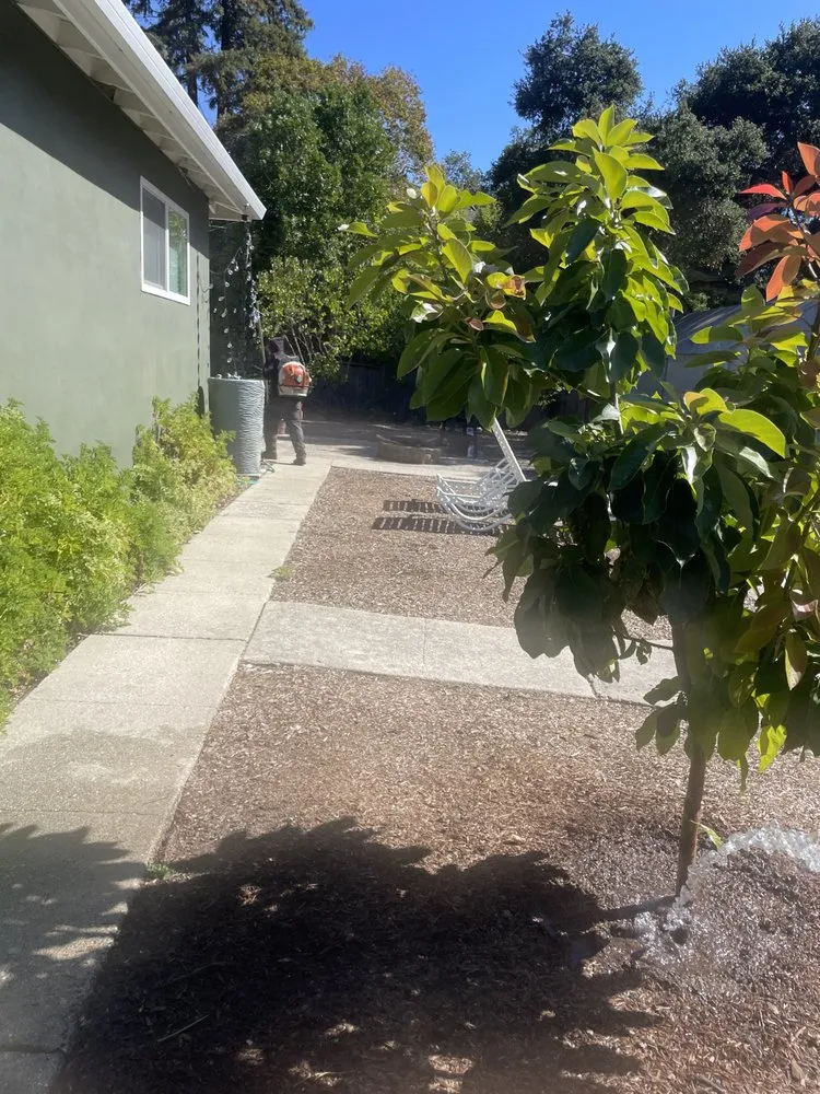 Reliable lawn mowing service with custom design across Salinas, CA - El Caminito Gardening