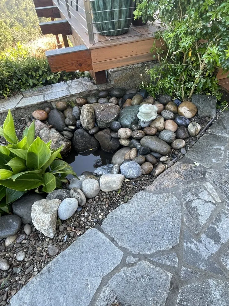 Local lawn care service experts serving Salinas, CA - El Caminito Gardening