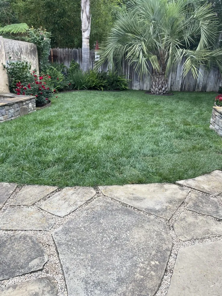 Reliable outdoor landscaping in Salinas, CA by El Caminito Gardening