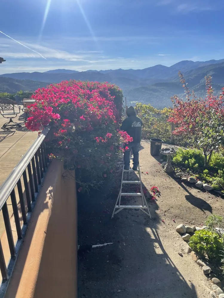 Custom landscape installation in Salinas, CA by El Caminito Gardening