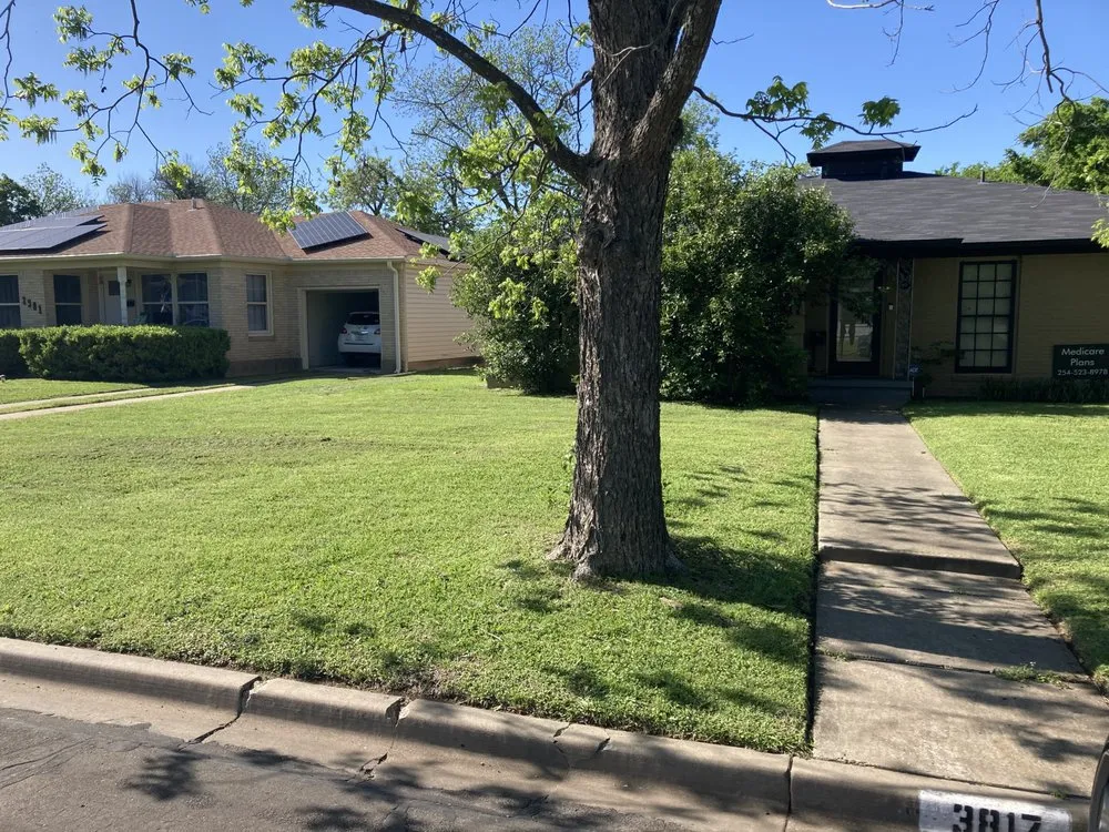 Expert yard maintenance near you in Waco, TX by El Camino Cuts