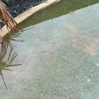 Reliable landscaping services for residential properties across Cedar Park, TX - El Camino Landscaping