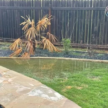 Expert landscape installation in Cedar Park, TX by El Camino Landscaping