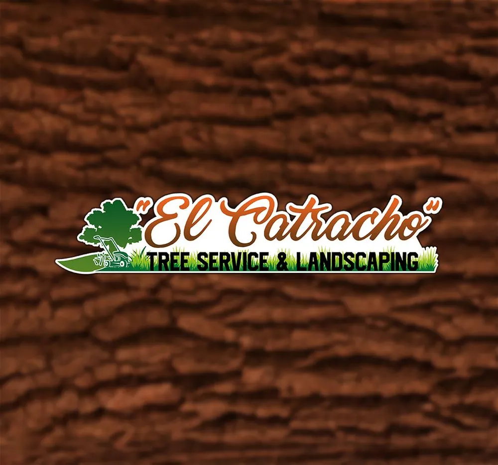 Trusted lawn care service for homes across Bay Shore, NY - El Catracho Tree Service & Landscaping