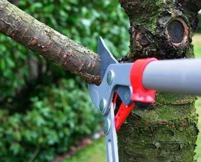 Top-rated garden landscaping in Bay Shore, NY - El Catracho Tree Service & Landscaping