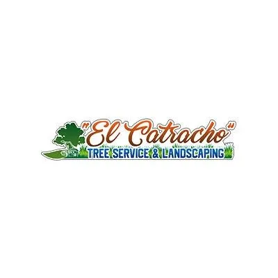 Affordable outdoor landscaping for year-round maintenance across Bay Shore, NY - El Catracho Tree Service & Landscaping