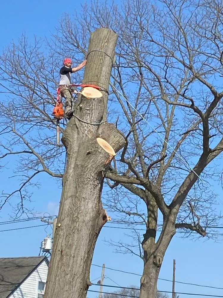 Expert lawn care service for beautiful yards in Bay Shore, NY by El Catracho Tree Service & Landscaping