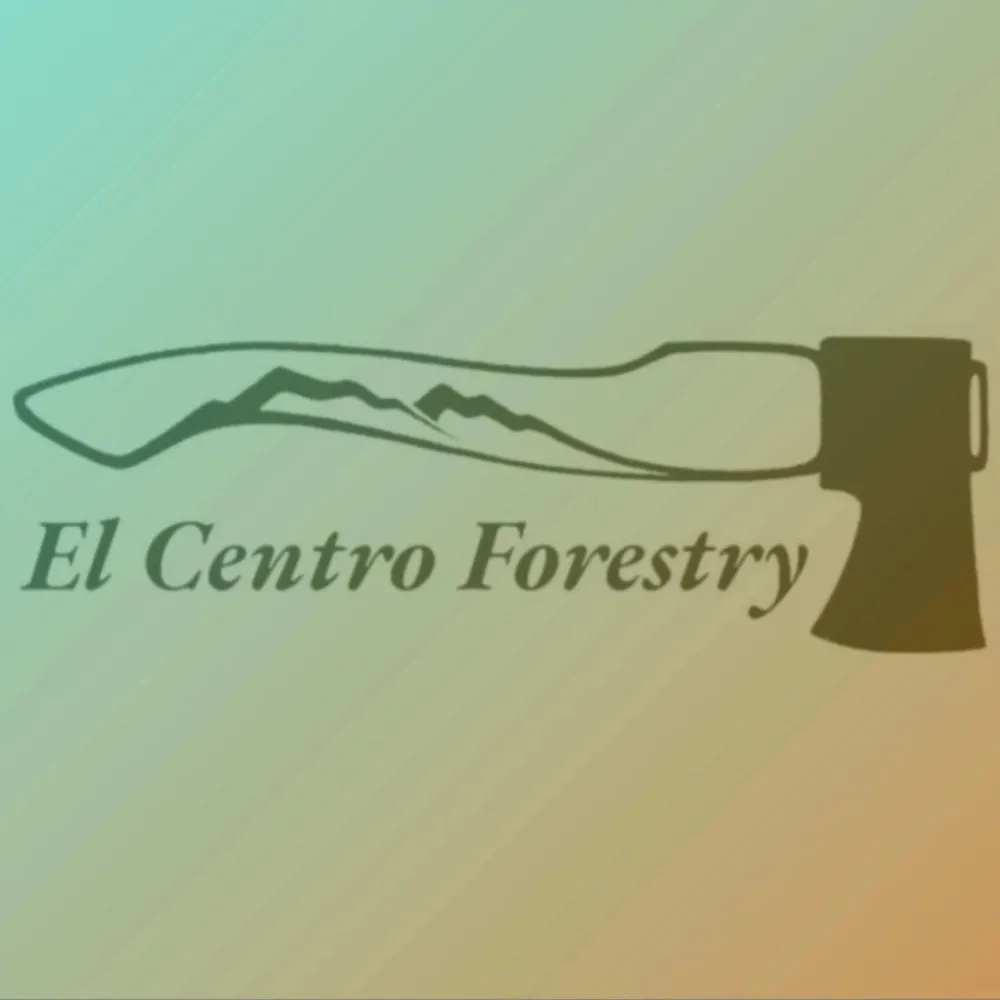 Trusted yard cleanup service experts serving Edgewood, NM - El Centro Forestry