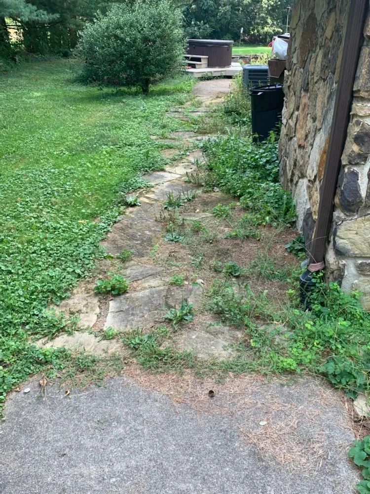 Top-rated landscaping services experts serving Terre Haute, IN - El Chapin Landscaping