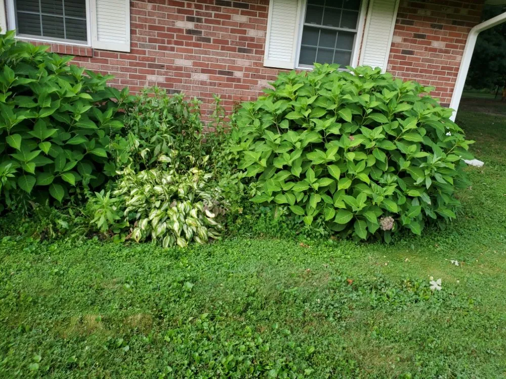 Local residential landscaping in Terre Haute, IN - El Chapin Landscaping