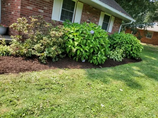 El Chapin Landscaping Logo