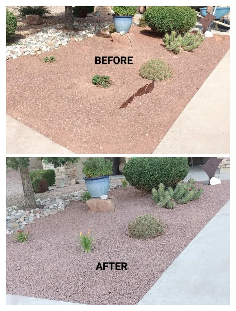 Reliable lawn mowing service in Albuquerque, NM by El Chavo Services