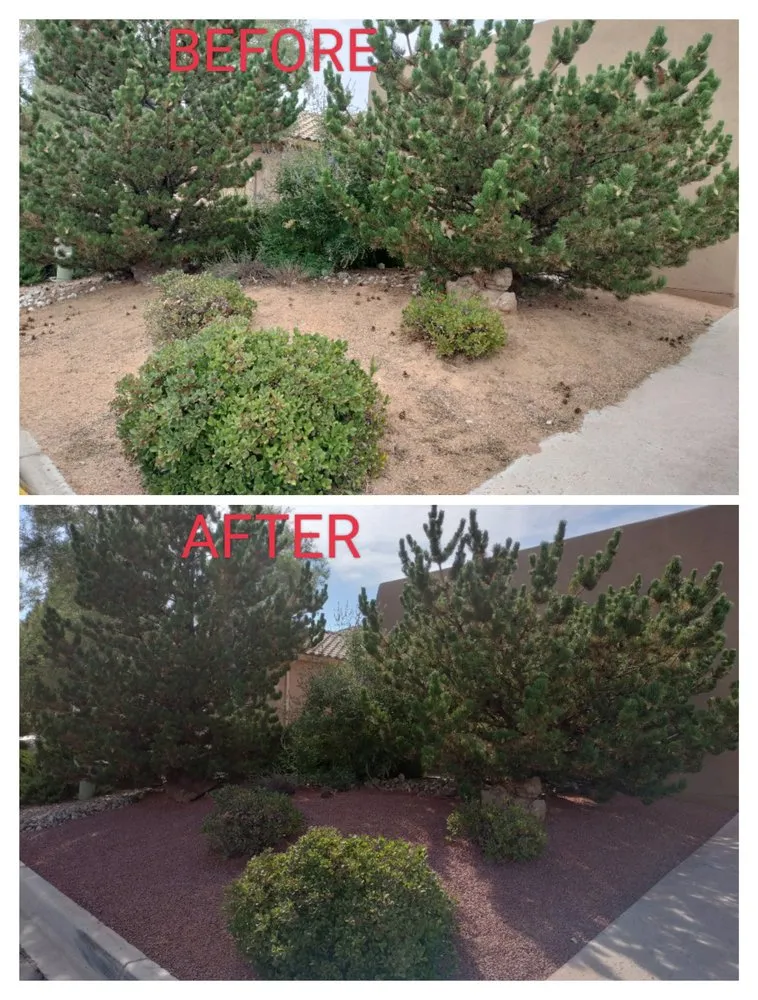 Expert outdoor landscaping for residential properties in Albuquerque, NM by El Chavo Services