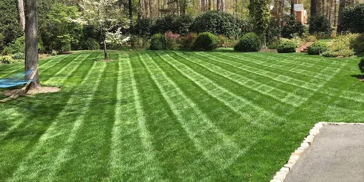 Trusted landscaping services in Indianapolis, IN - El Chico Landscaping