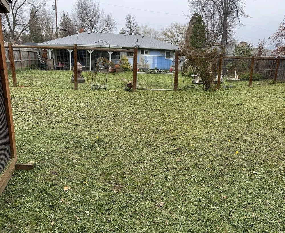 Expert lawn mowing service for year-round maintenance in White City, OR by El Chino Tree Service & Lawn Care