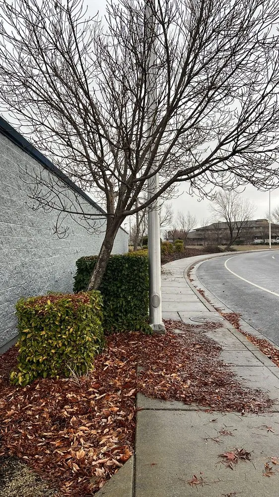 Custom yard cleanup service for outdoor upgrades in White City, OR by El Chino Tree Service & Lawn Care