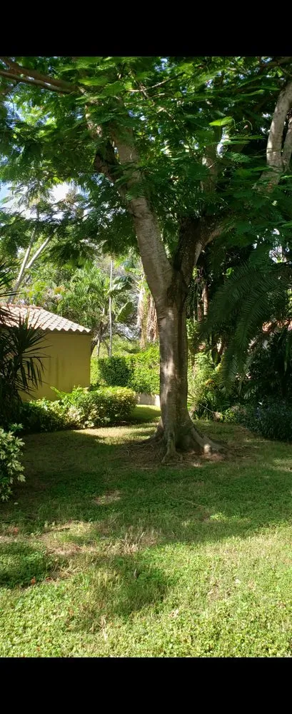 Top-rated yard maintenance for year-round maintenance in Brownsville, TX by El Cowboy Proficient Lawn Care Service