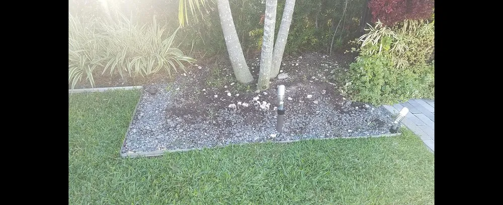 Trusted yard cleanup service near you in Brownsville, TX by El Cowboy Proficient Lawn Care Service