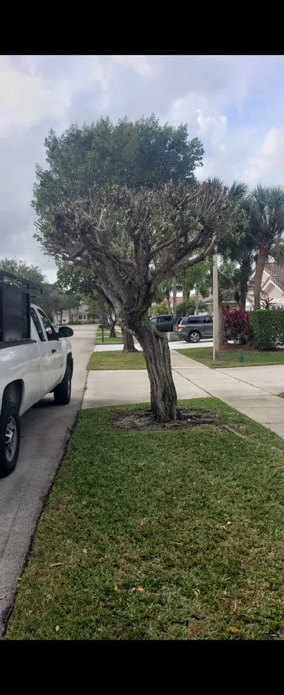 Trusted garden landscaping for year-round maintenance across Brownsville, TX - El Cowboy Proficient Lawn Care Service