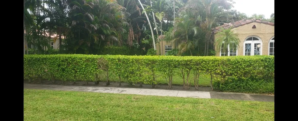 Reliable landscape installation with custom design across Brownsville, TX - El Cowboy Proficient Lawn Care Service