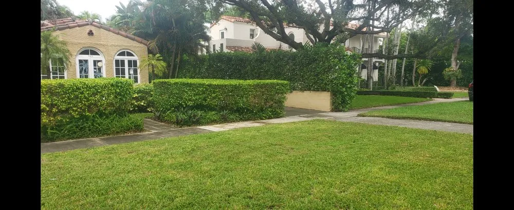 Professional yard cleanup service in Brownsville, TX by El Cowboy Proficient Lawn Care Service