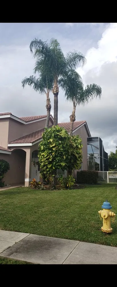 Custom outdoor landscaping in Brownsville, TX by El Cowboy Proficient Lawn Care Service