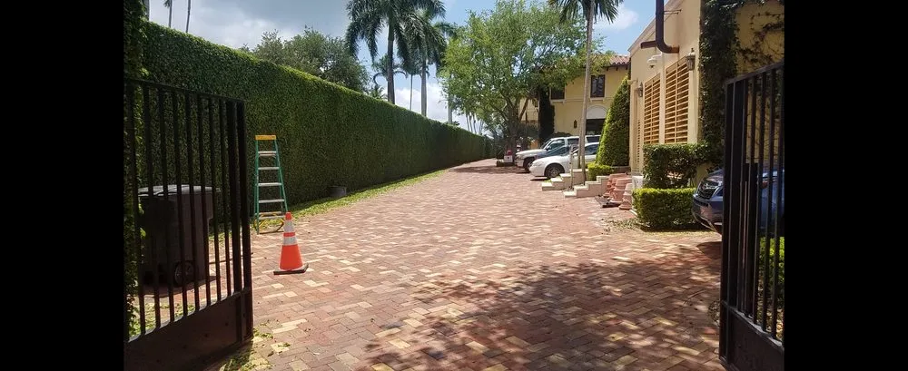 Local landscape installation in Brownsville, TX by El Cowboy Proficient Lawn Care Service