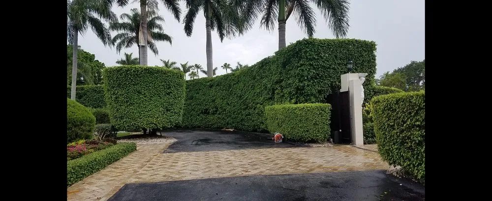 Top-rated lawn mowing service in Brownsville, TX - El Cowboy Proficient Lawn Care Service