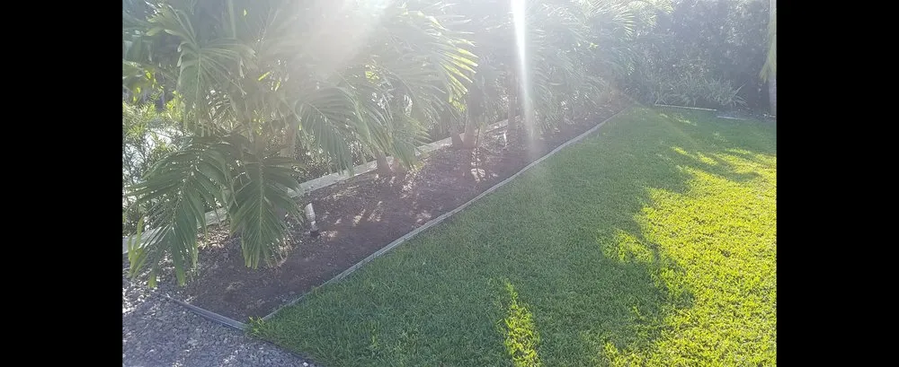 Top-rated landscape installation for beautiful yards across Brownsville, TX - El Cowboy Proficient Lawn Care Service