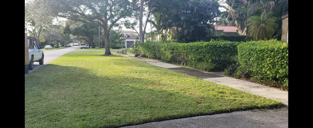 Reliable yard cleanup service in Brownsville, TX by El Cowboy Proficient Lawn Care Service