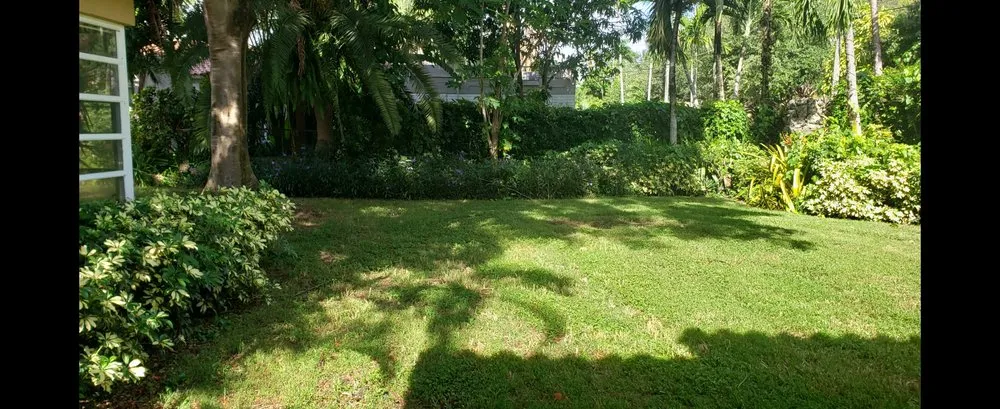 Trusted lawn mowing service in Brownsville, TX - El Cowboy Proficient Lawn Care Service