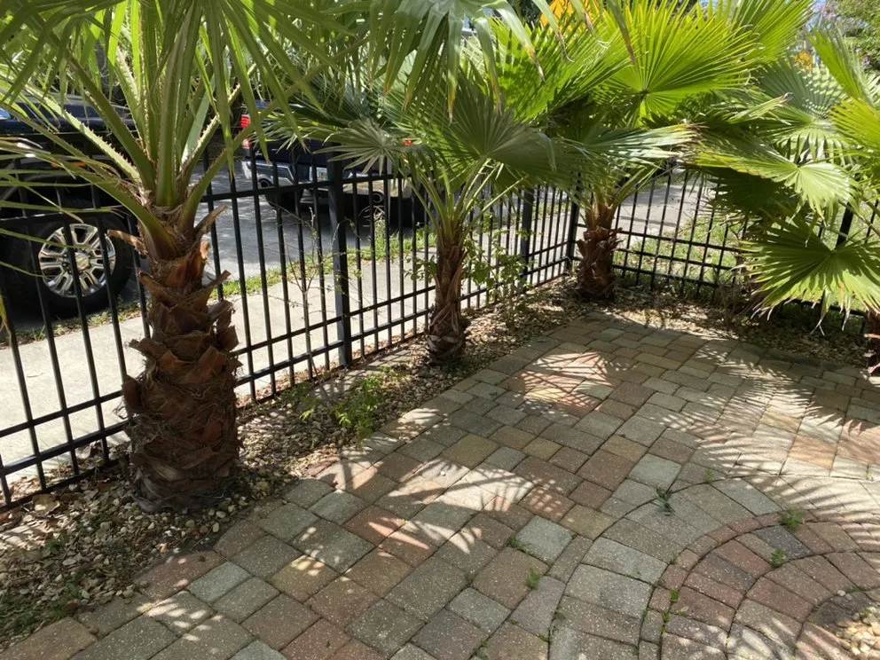 Reliable lawn mowing service for outdoor upgrades in Middleburg, FL by El Cubanito's Lawn And Landscaping Services