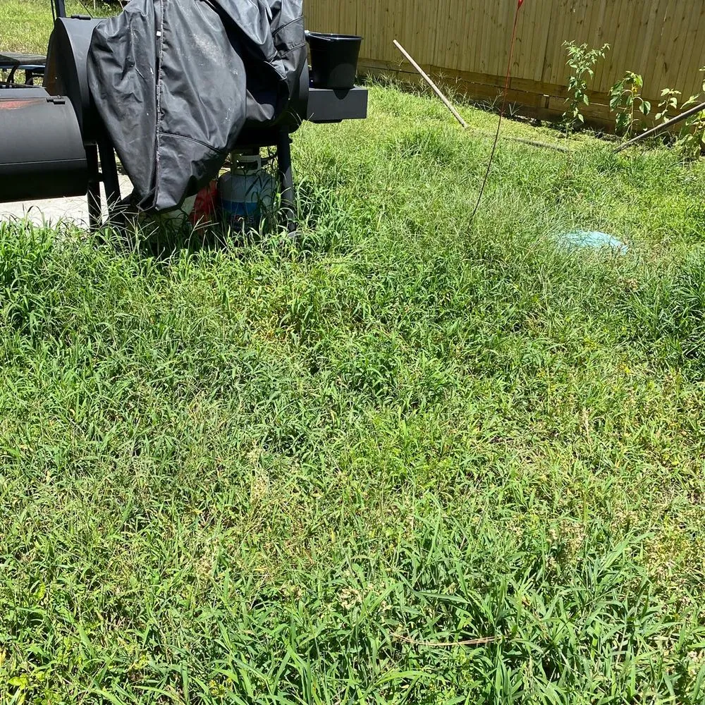 Custom lawn care service for beautiful yards across Middleburg, FL - El Cubanito's Lawn And Landscaping Services