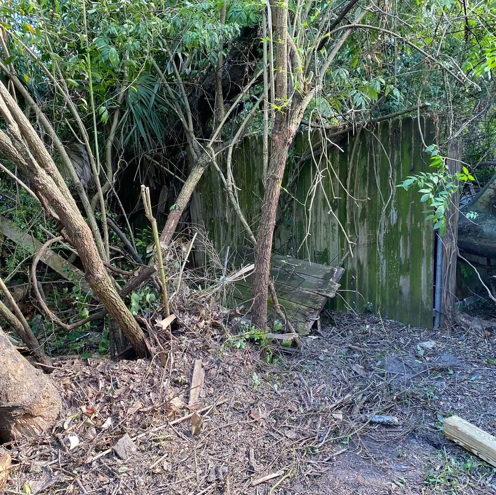 Affordable residential landscaping experts serving Middleburg, FL - El Cubanito's Lawn And Landscaping Services