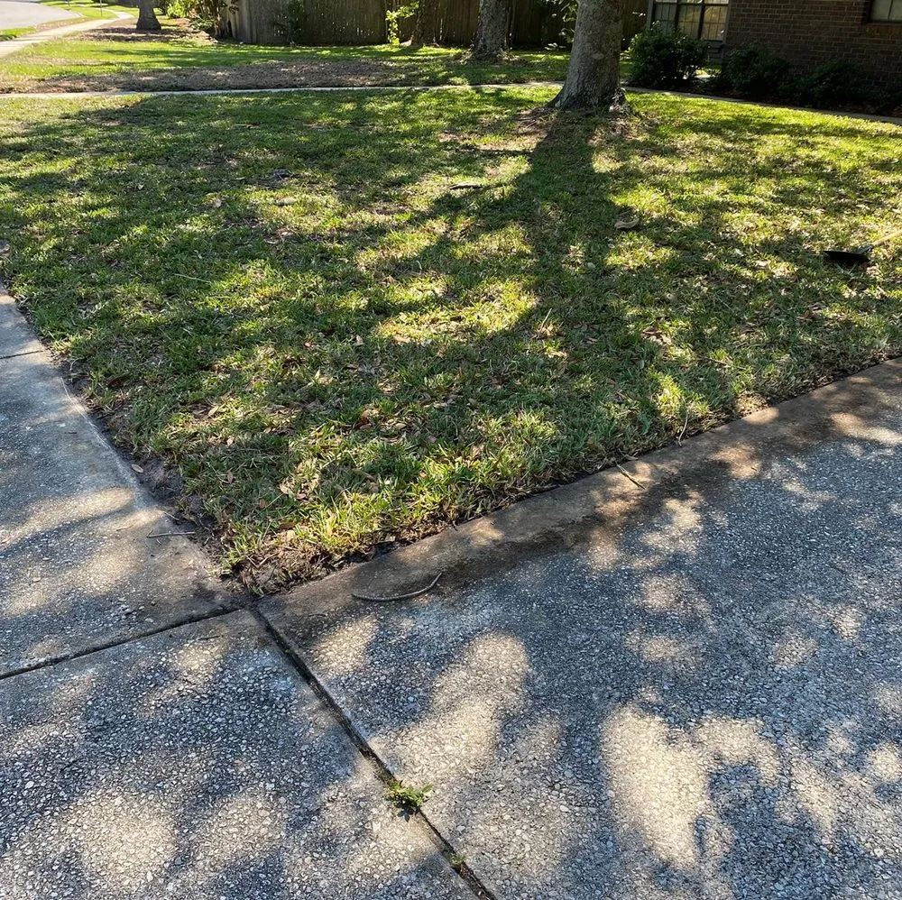 Custom yard cleanup service in Middleburg, FL by El Cubanito's Lawn And Landscaping Services