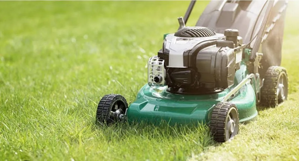 Custom yard cleanup service for beautiful yards across San Antonio, TX - El Di Junk Removal